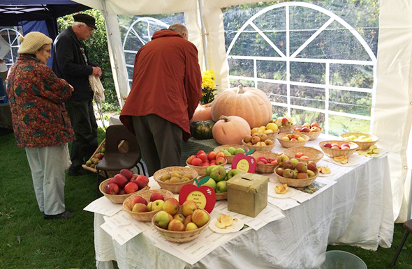 Pumpkin display at the BCG Apple Festival